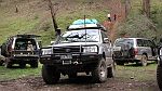 12-Snapper takes a break at  Mt Useful Creek